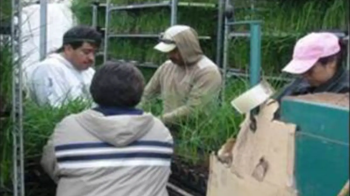 trabajadores agrícolas